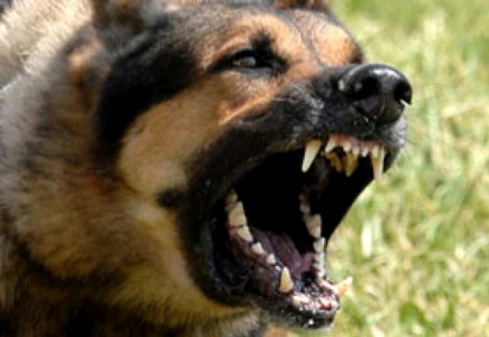 
    Valeriu Constantin Azamfirei era închis pentru tâlhărie și mai avea puțin de ispășit din pedeapsă  