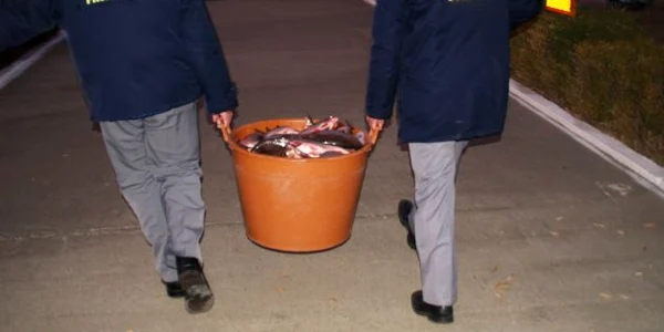 Peştele confiscat nu avea documente de provenienţă