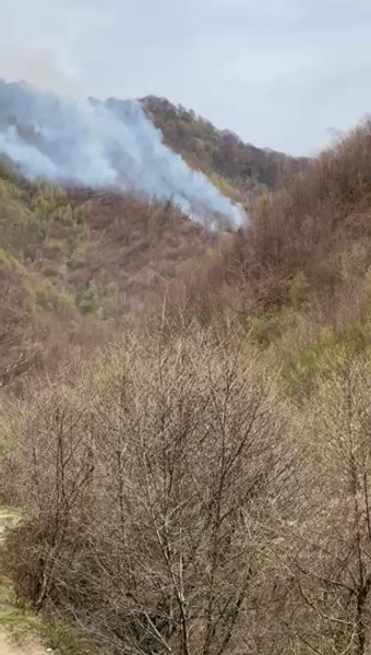 Incendiu masiv într-o zonă greu accesibilă, în Argeş. Elicopterul Black Hawk a efectuat 11 aruncări cu apă