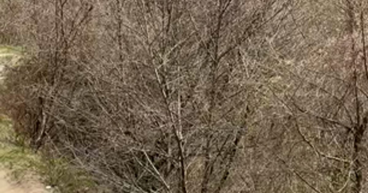 Foc puternic într-o zonă dificilă din Argeș: Black Hawk intervenție la fața locului