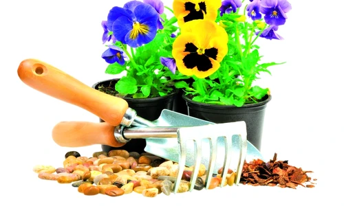 1 68064 original jpg jpeg