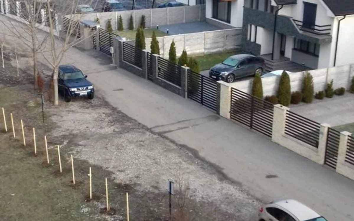 Angajaţii DUS le-au lăsat proprietarilor caselor din zonă loc de parcare în faţa porţii, delimitând spaţiul cu pomi de-abia plantaţi FOTO: Adevărul