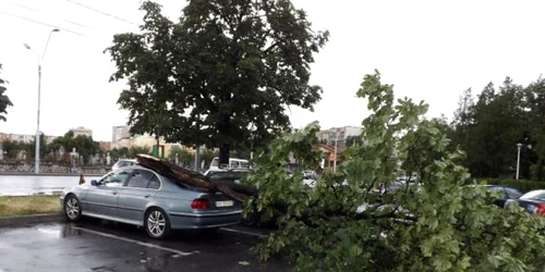 furtuna la turnu severin FOTO Corina Macavei