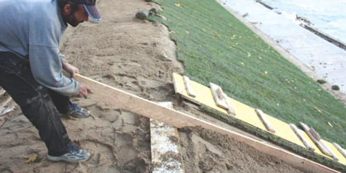 Muncitorii au pus covoare de gazon rezistent la frig, pe marginea aleilor de pe malul Crişului Repede