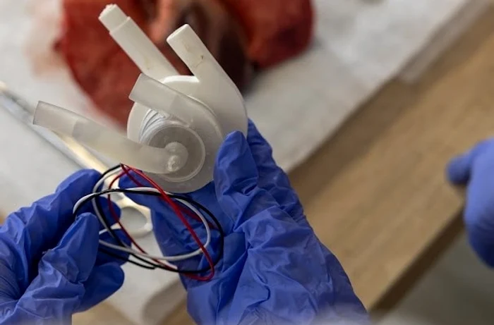 Inima artificială dezvoltată la Iași FOTO: Mavis Artificial Heart/FB