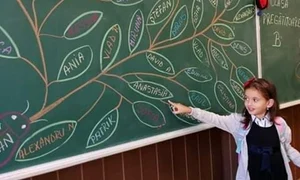 clasa pregatitoare 1 jpeg