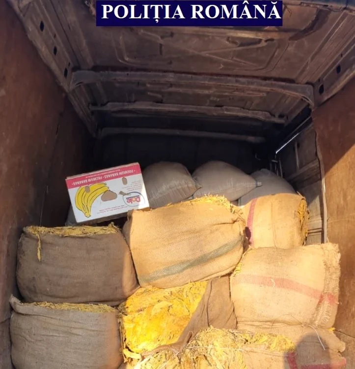 Marfa nedeclarată a fost confiscată FOTO Arhivă IPJ Călăraşi