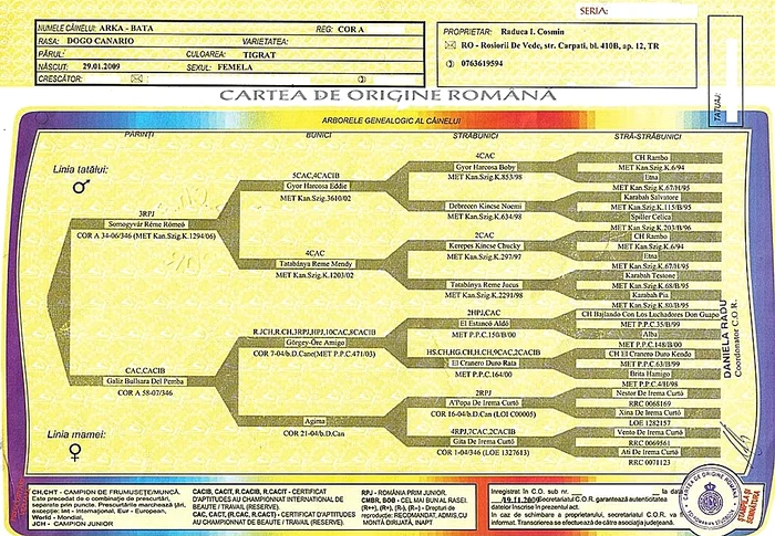 Pedigree-ul este arborele genealogic al căţelului