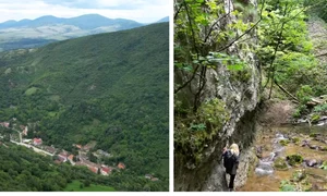 BeFunky collage (38) jpg