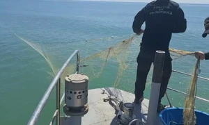 Paza de Coastă mp4 thumbnail png