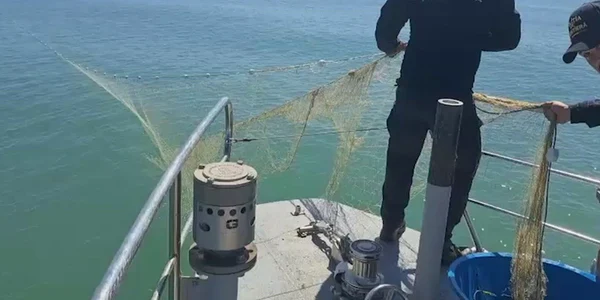 Paza de Coastă mp4 thumbnail png
