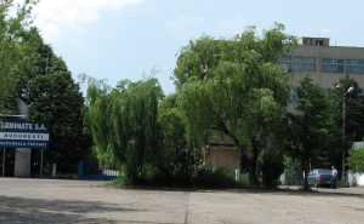 Laminorul este acum la dispoziţia Fiscului, care încearcă să îşi recupereze datoriile. Foto: Şt.B.