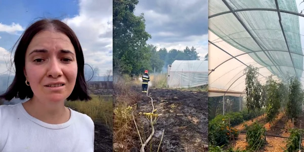 Femeia s-a arat revoltată de situația în care au ajuns fermierii. Foto Roxa zahafarms Instagram