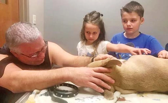 Zeus a fost muşcat de şarpe de patru ori