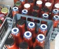 Zarzavaturi pentru iarnă cu produse din „Grădina dintre vii”din zona Drăgășani Foto Arhiva grădinari Vâlcea