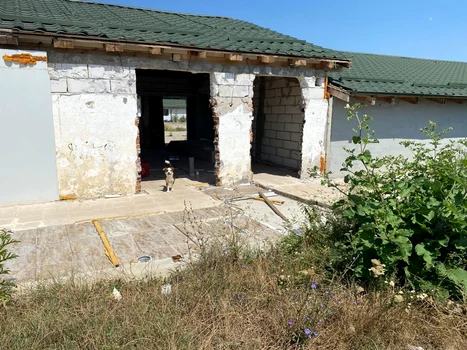 Câinii păzesc dărâmăturile de la Snagov Sursa Click!