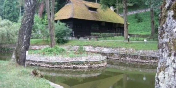 Casa de Ceai a Reginei Maria datează de la 1920
