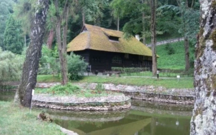 Casa de Ceai a Reginei Maria datează de la 1920