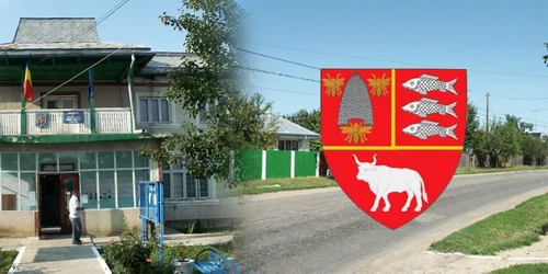todiresti