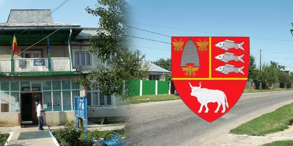 todiresti