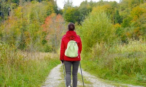 horoscop zilnic 12 decembrie gemeni jpeg