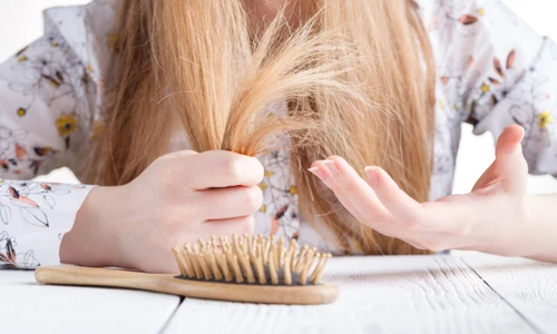 shutterstock 1038247492 jpg