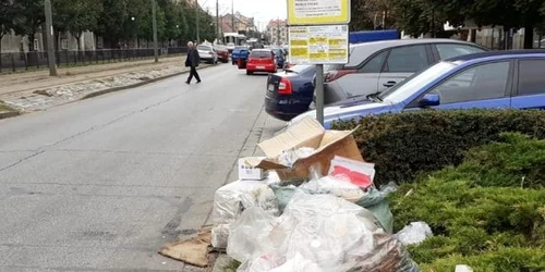 Gunoaie strada Timisoara FOTO Politia Locala
