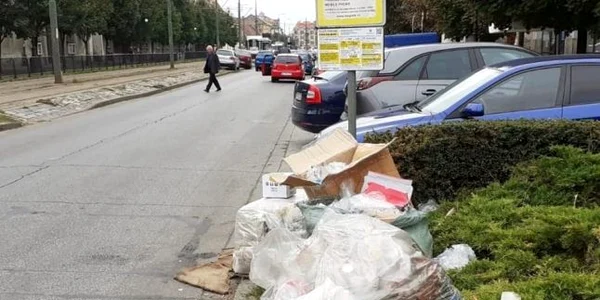 Gunoaie strada Timisoara FOTO Politia Locala