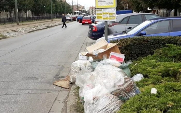 FOTO Poliţia Locală Timişoara (arhivă)