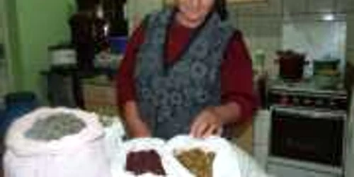 Satu Mare: Bătrânii îşi tratează bolile cu ceaiuri medicinale