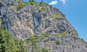 08 foto 1 3 col15 cm jpeg