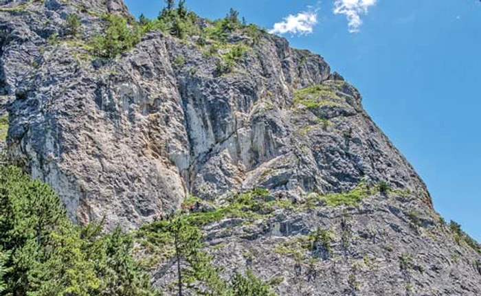 
    Cel mai nou şi mai lung traseu  de via ferrata din România se  află în Cheile Şugăului-Munticelu,  arie protejată de interes naţional  