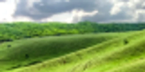 Dobrogea cea frumoasă - Somova din judeţul Tulcea Sursa comunasomova.ro