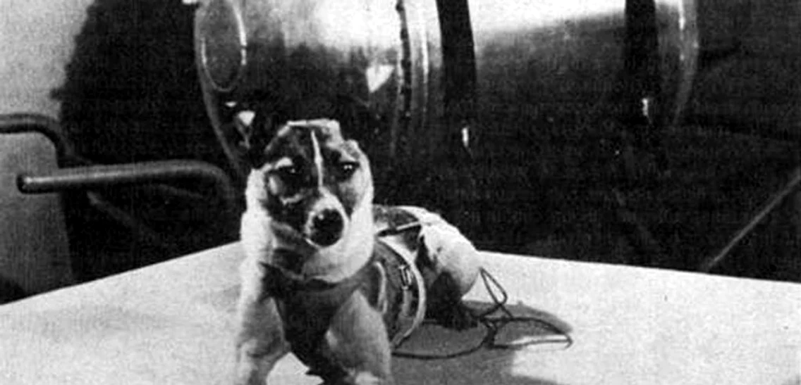 Laika 1 