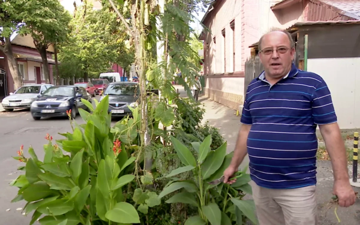 Costică Patache cultivă în fiecare an legume în faţa porţii   Iulian Bunilă