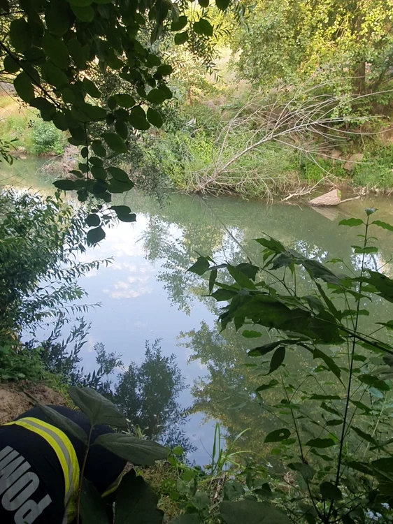 Copilul şi bătrânul au fost scoşi din râul Motru                                               FOTO: ISU Gorj