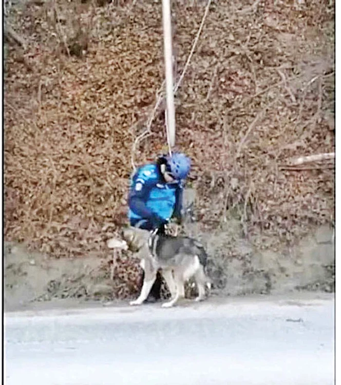 Câinele a sărit în brațele salvatorului său. Foto: Șansa News