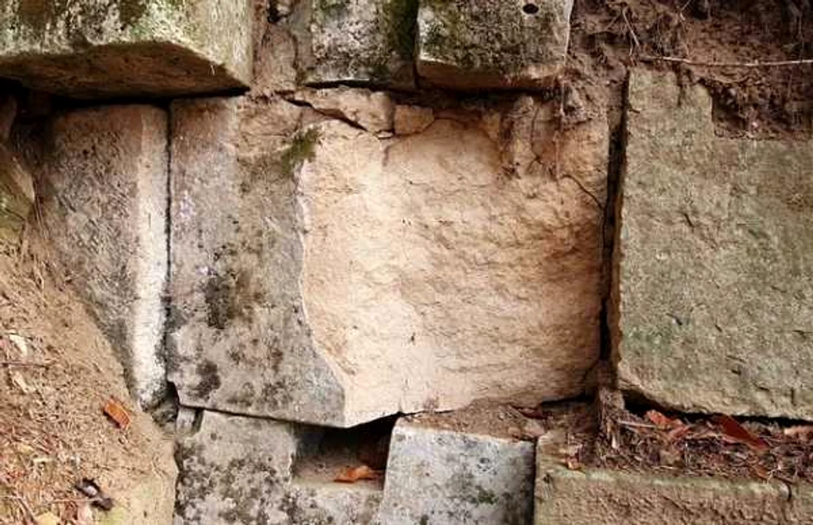 cetatea dacica fetele albe