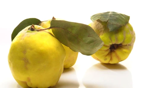 1 65125 original jpg jpeg