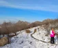Zăpadă pe Munţii Măcinului - Dobrogea Sursa Dan Staicu