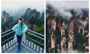 BeFunky collage   2026 04 22T171450 832 jpg