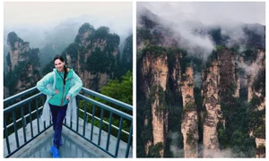 BeFunky collage   2026 04 22T171450 832 jpg