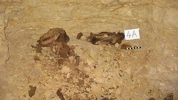 Gândul: Opt milioane de câini mumificaţi IMAGINI DIN LABIRINTUL de sub Sahara descoperit în Egipt jpeg