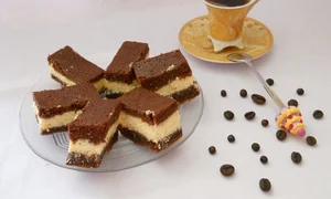 CLIIMA20121211 0045 1 jpeg