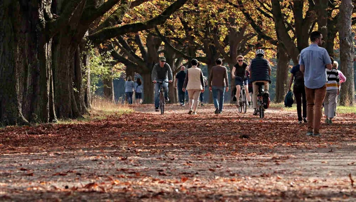 Azi ne vom bucura de vreme frumoasă și caldă, numai bună pentru o plimbare în parc 