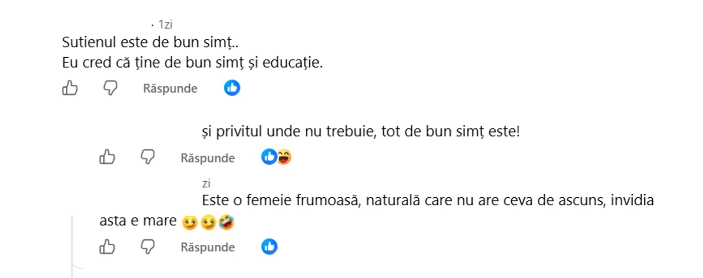 Comentariile primite de Gabriela Cristea. Foto: Facebook