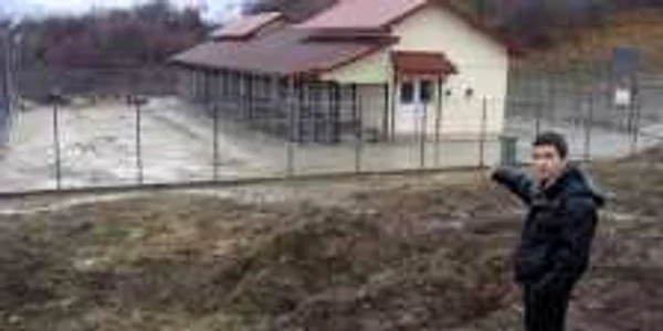 Adapostul de la Feteni unde sunt omorati caini
