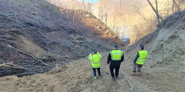 Defrișările în zona montană a Autostrăzii Sibiu Pitești Foto Irinel Scrioșteanu Facebook