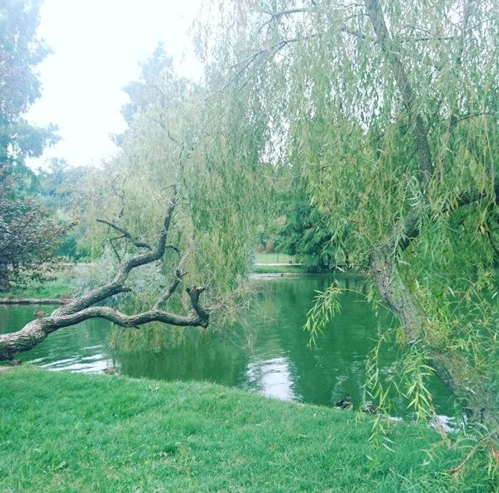 Carmen Brumă a ieșit la jogging pe răcoare