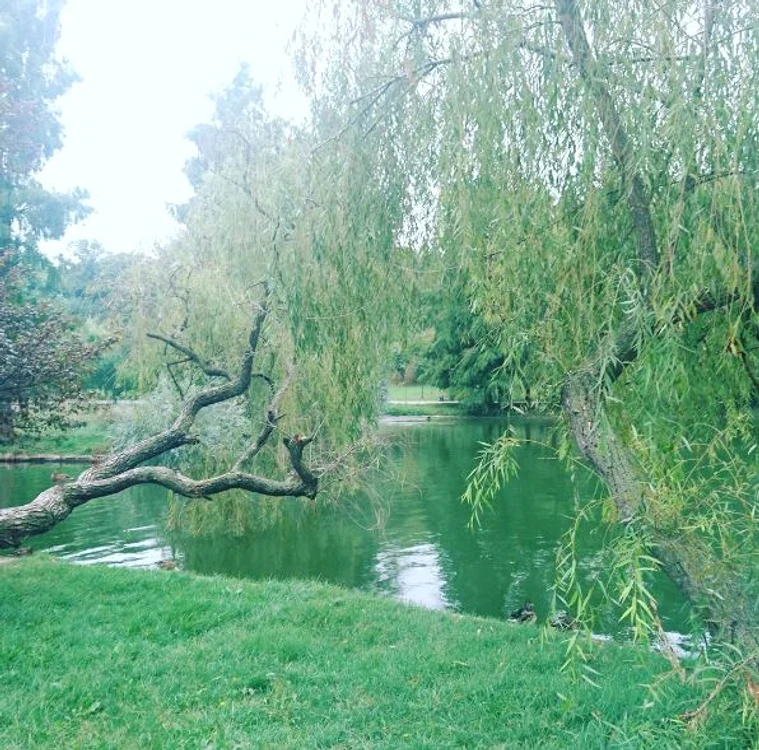 Carmen Brumă a ieșit la jogging pe răcoare